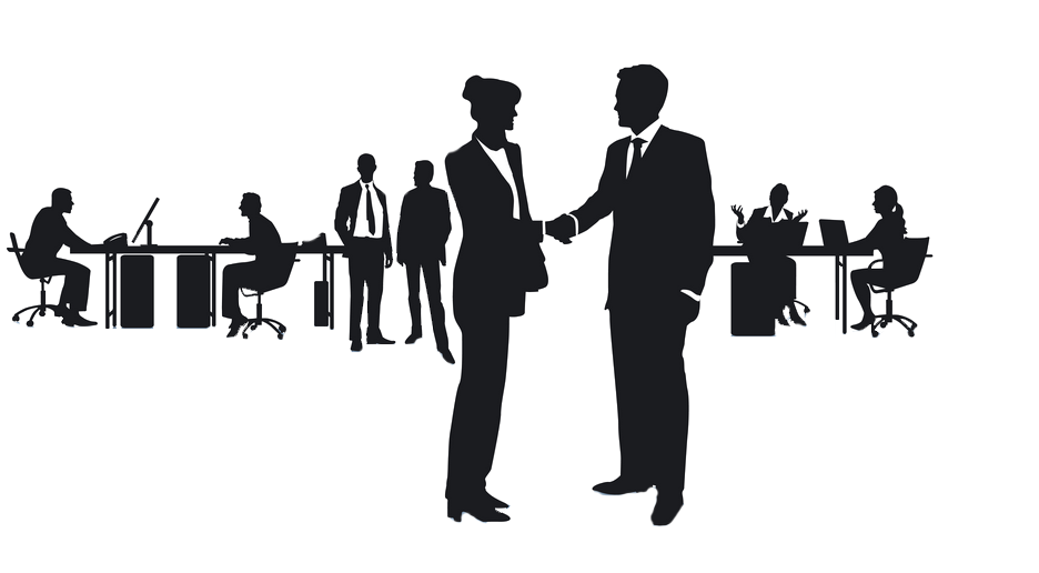 BCS Consulenze